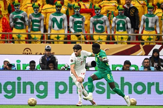 اللامبالاة والسنغال