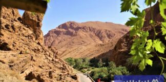 موجة الحر في المغرب تحشد خبراء الصحة لحماية الفئات السكانية الضعيفة موجة الحر في المغرب تحشد خبراء الصحة لحماية الفئات السكانية الضعيفة