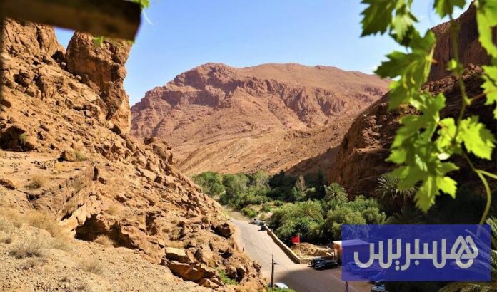 موجة الحر في المغرب تحشد خبراء الصحة لحماية الفئات السكانية الضعيفة


