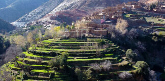 وزن البوادي في اقتصاد وسياسة المغرب محمد بن عزيز وزن البوادي في اقتصاد وسياسة المغرب محمد بن عزيز